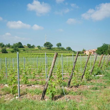 Agriturismo Albarello Sona Dış mekan fotoğraf
