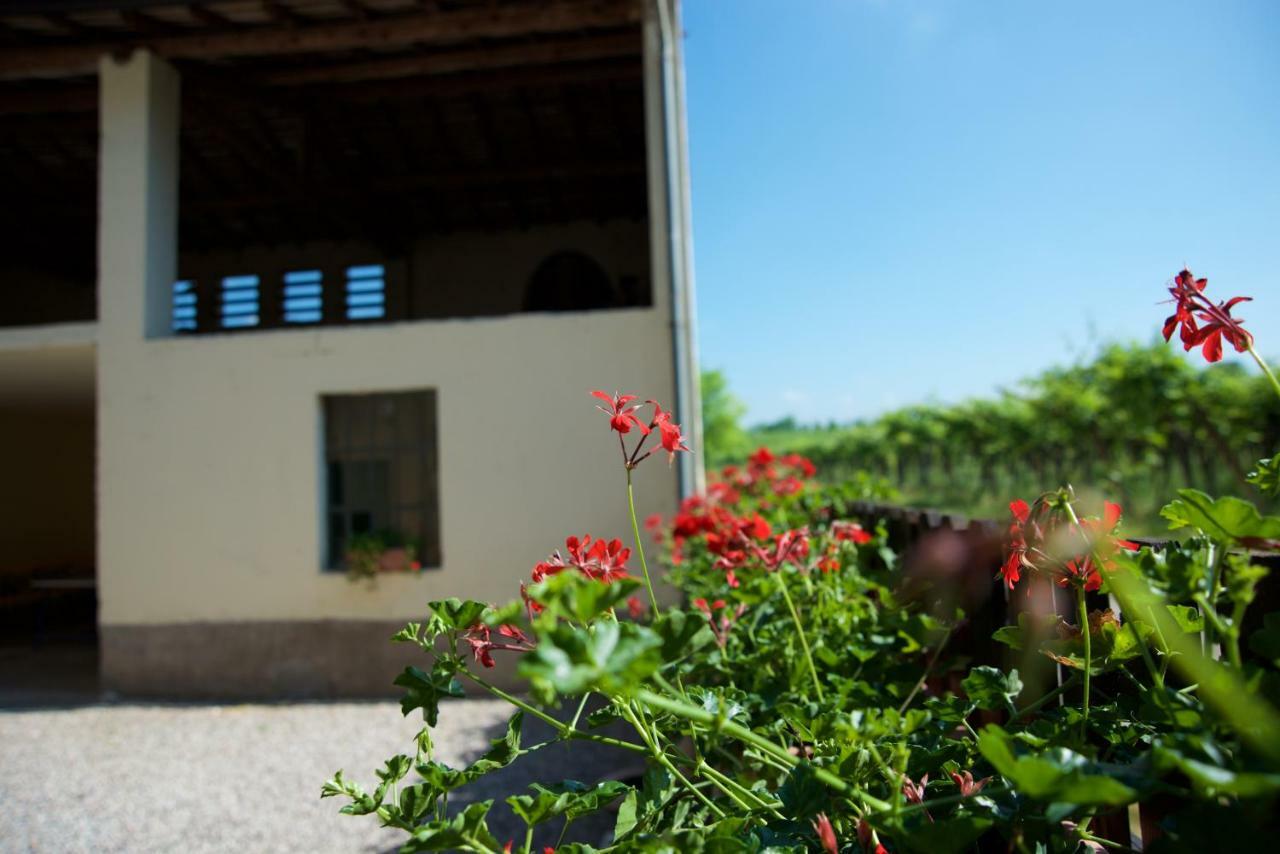 Agriturismo Albarello Sona Dış mekan fotoğraf