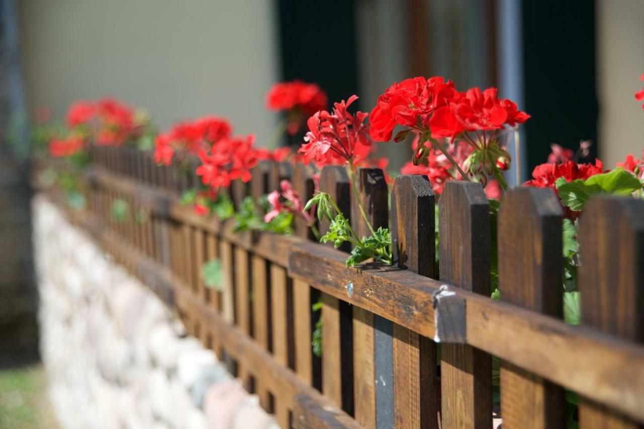 Agriturismo Albarello Sona Dış mekan fotoğraf