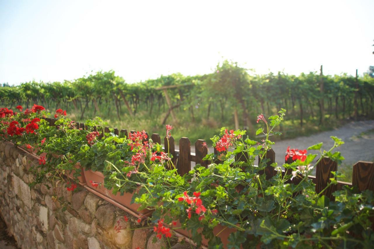 Agriturismo Albarello Sona Dış mekan fotoğraf